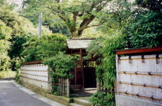 takegakimichi