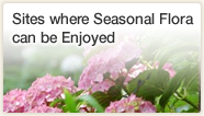 Sites where Seasonal Flora can be Enjoyed