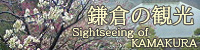鎌倉の観光