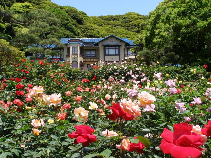 文学館外観