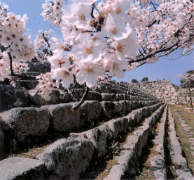 上田市 画像