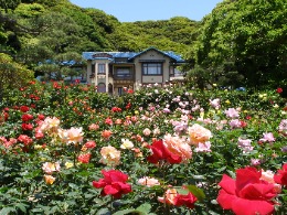 写真:鎌倉文学館