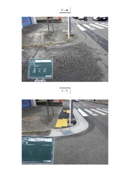 写真:施行前後比較写真