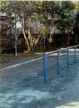 写真:玉縄小学校