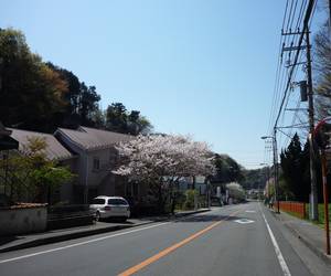 常盤道普請の会-1