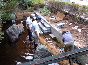 作業中のビオトープ