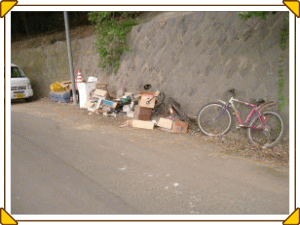 道路上への投棄