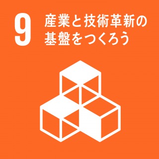 sdgs9