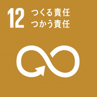 sdgs12