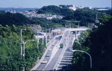 tamanawa