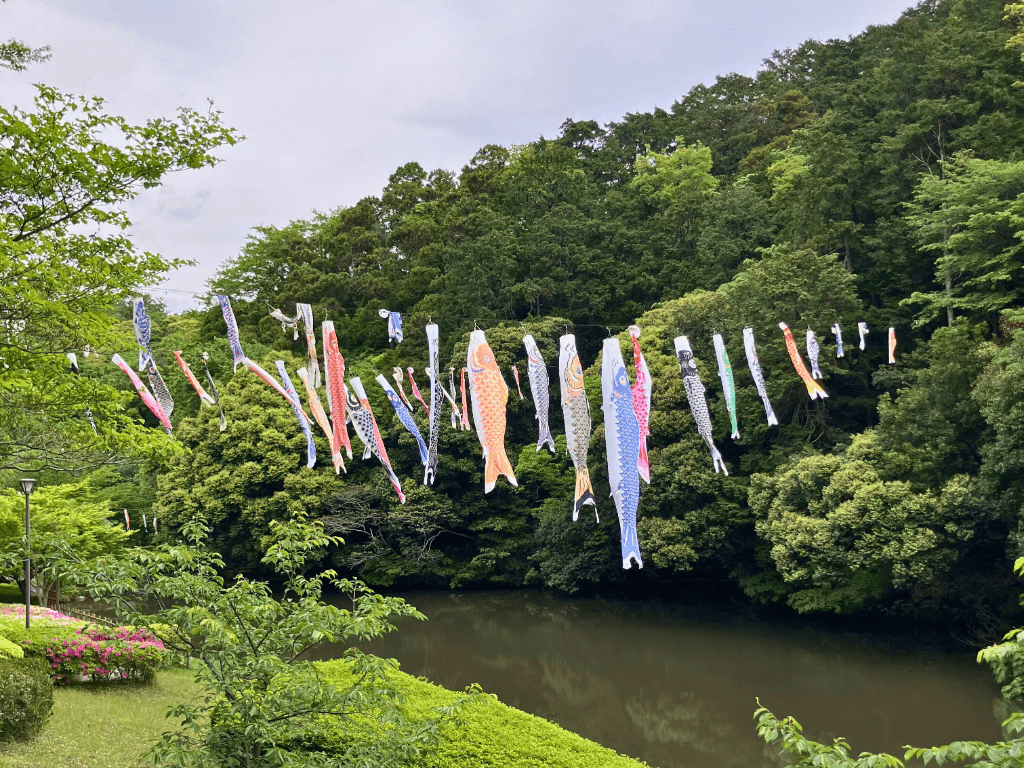 こいのぼりの写真