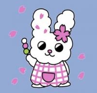 玉縄さくらです