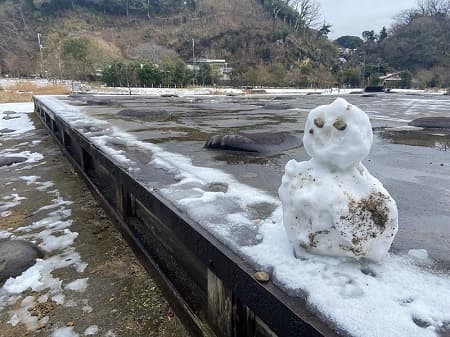 雪が降った時の様子
