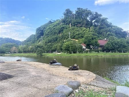 池のほとり