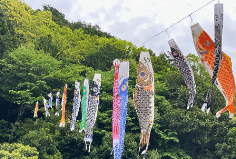 鎌倉で遊ぼう、楽しもうvol.1