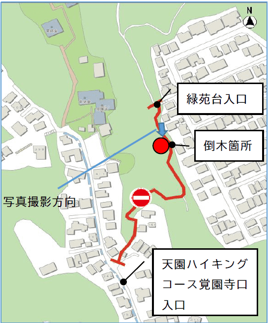 天園ハイキングコース倒木箇所