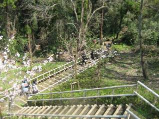 夫婦池公園鎌倉山口階段