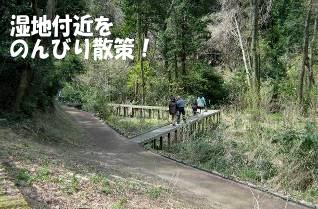 夫婦池公園湿地の観察テラス