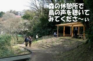 夫婦池公園森の休憩所