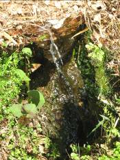 夫婦池公園湧き水