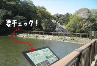 夫婦池公園動植物の案内板