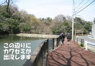 夫婦池公園水辺のさんぽ道