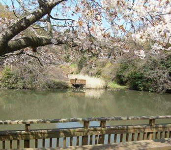 夫婦池公園笛田口からの眺め