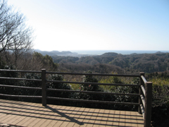 六国見山森林公園富士山眺望