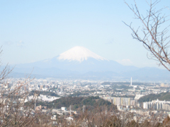 六国見山森林公園展望台眺望