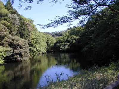 散在ガ池森林公園散在ガ池の様子