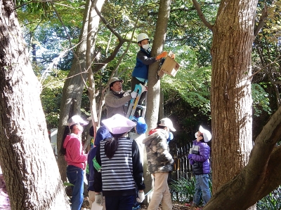 野鳥用巣箱のかけかえの様子