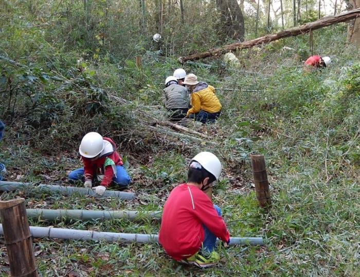 竹林の維持管理作業の様子