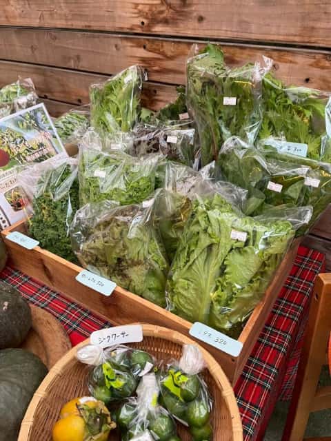 おいしい給食かまくら３