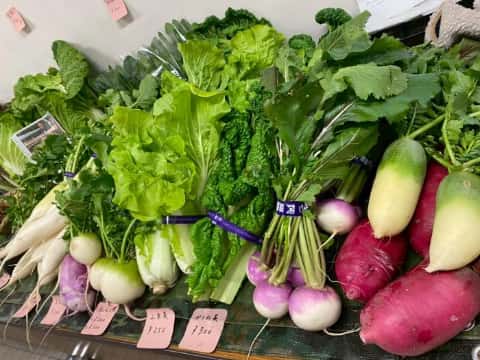 おいしい給食かまくら４