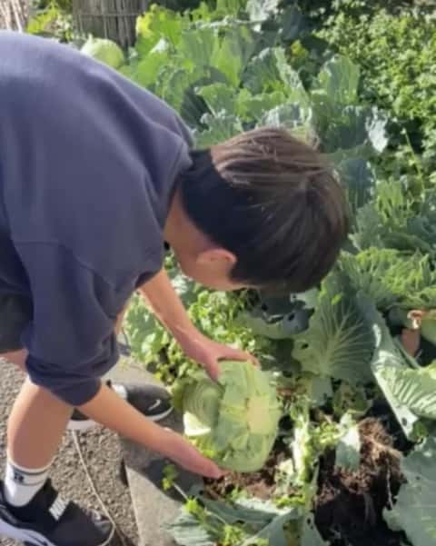 未来鎌倉をつくる会１