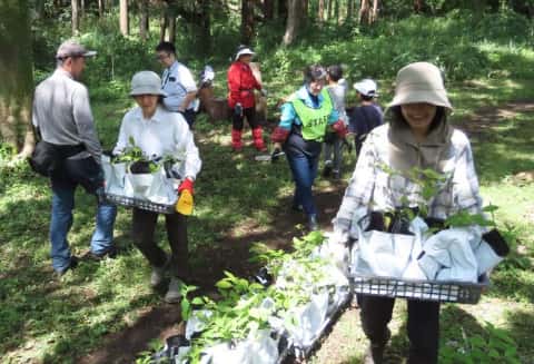 北鎌倉湧水ネットワーク４