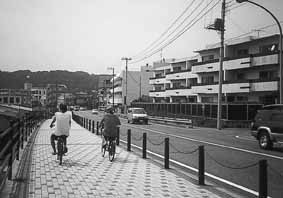 海岸線の写真