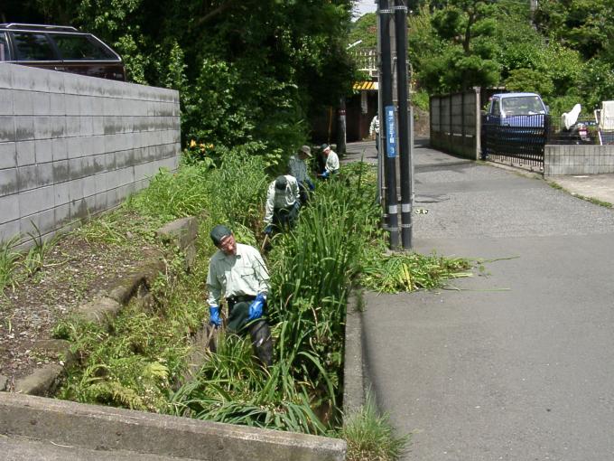 市が管理する水路の草刈り作業を行っています