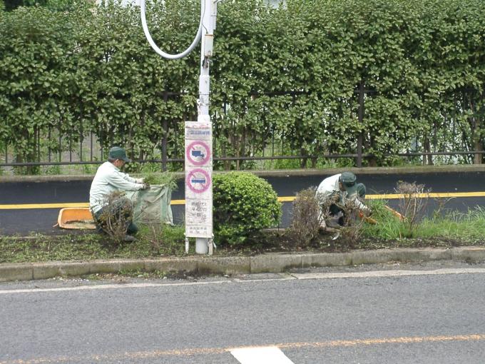 市が管理する道路の草刈り作業を行っています