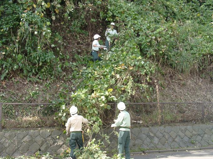 市が管理する緑地の草刈り作業を行っています