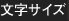 文字サイズ