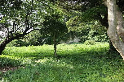 フェンス内の東勝寺跡